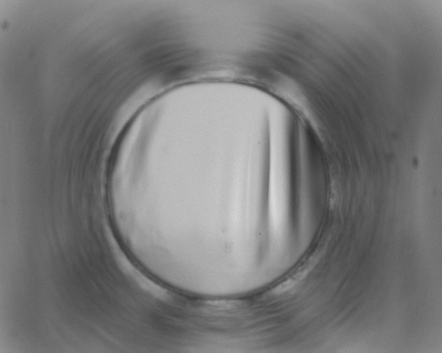 X0000062841483200601272004