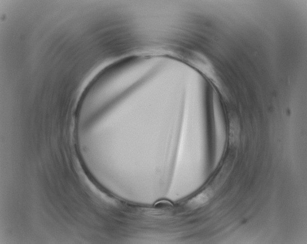 X0000062841484200601272004