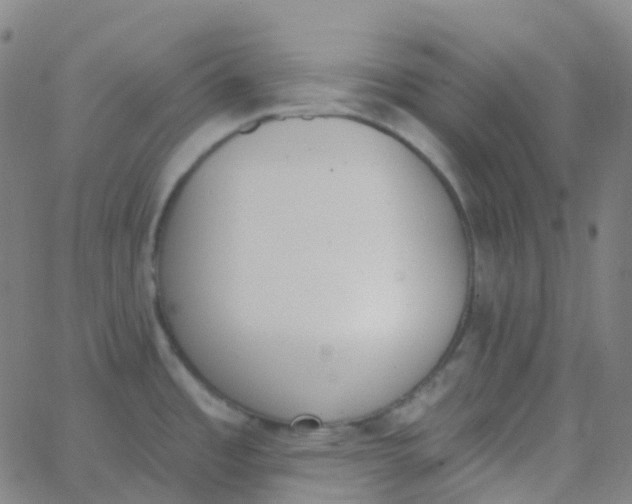 X0000062841485200601272004