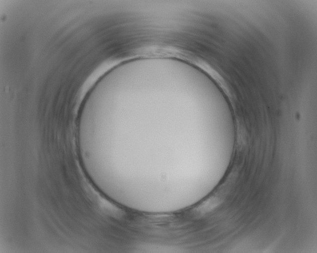 X0000062841486200601272004