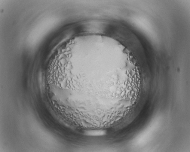 X0000062841487200601272004