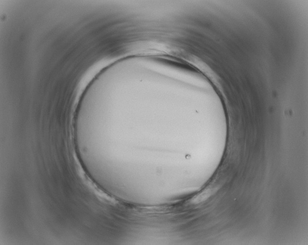 X0000062841488200601272004