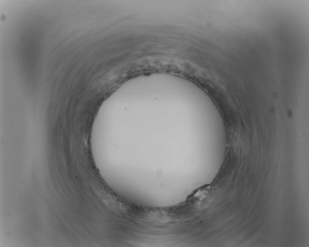 X0000062841489200601272003