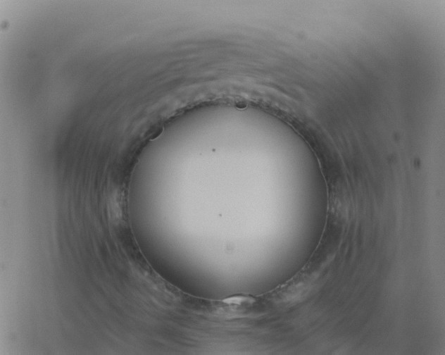 X0000062841490200601272003