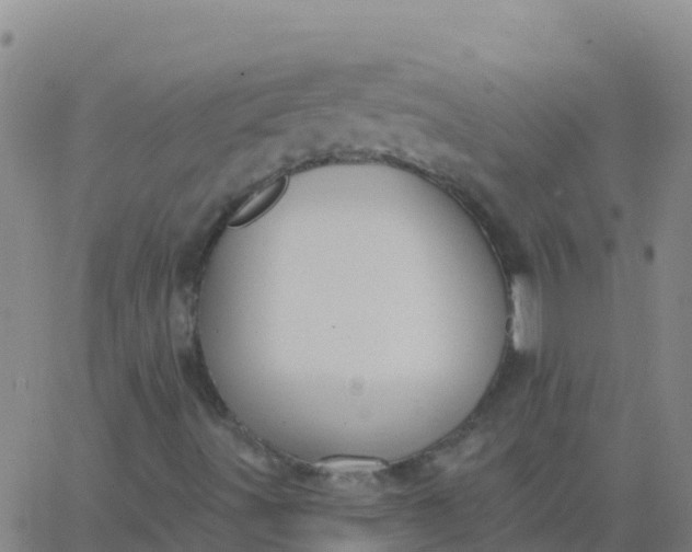 X0000062841491200601272003