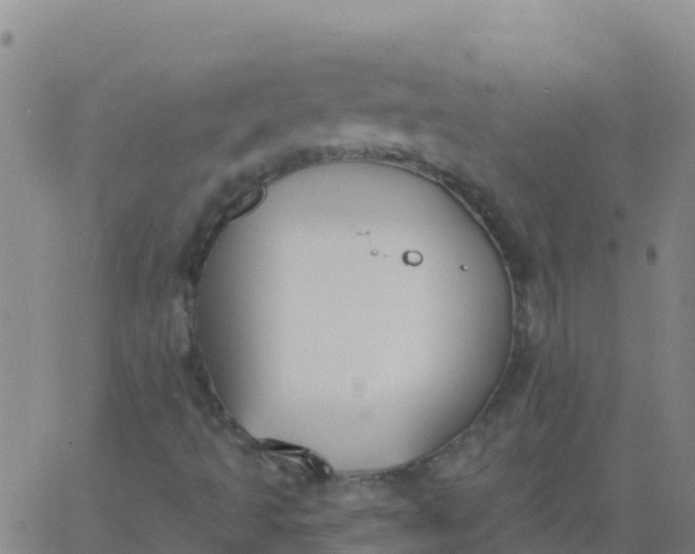 X0000062841493200601272003