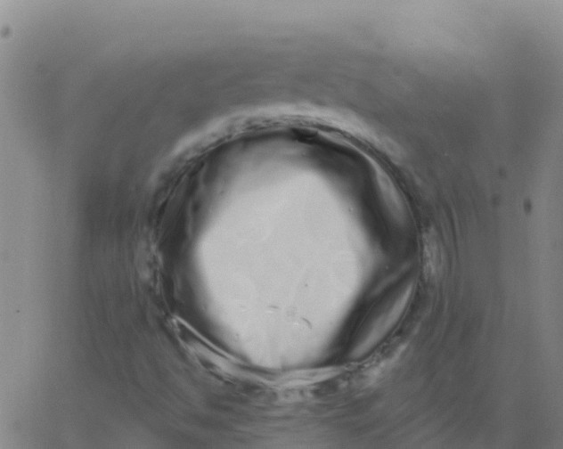 X0000062841494200601272003