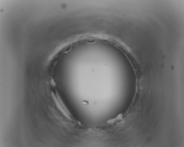 X0000062841496200601272003