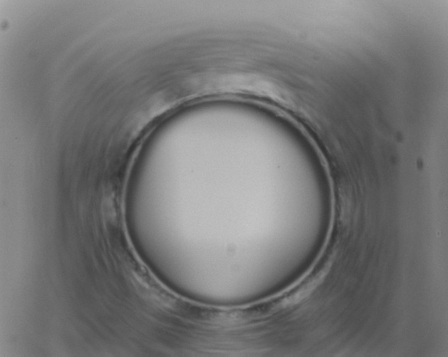 X0000062841497200601272003