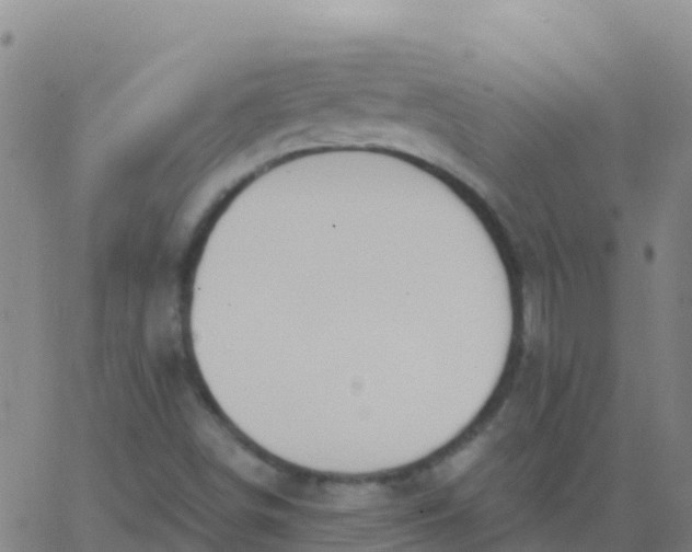 X0000062841498200601272003