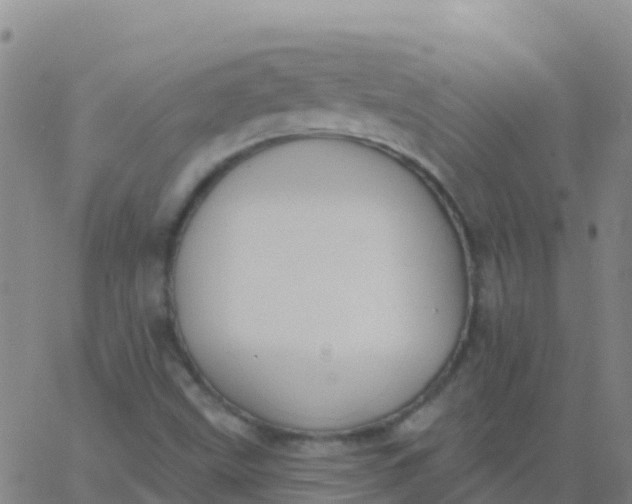 X0000062841499200601272003