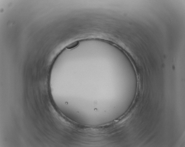 X0000062841500200601272003