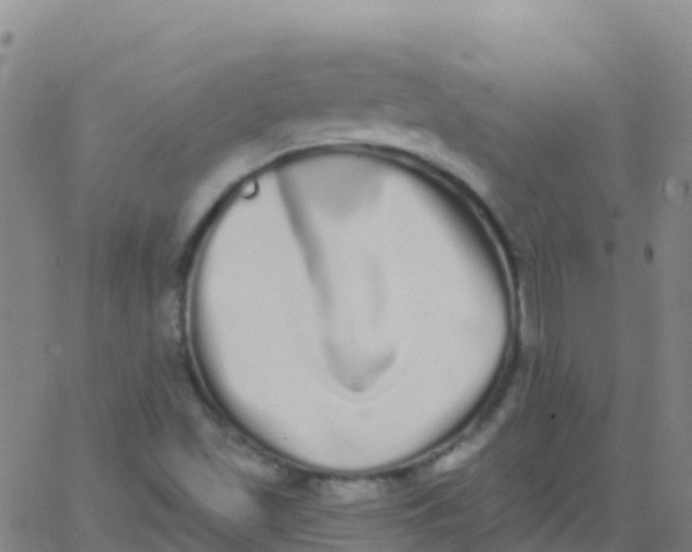 X0000062841501200601272003