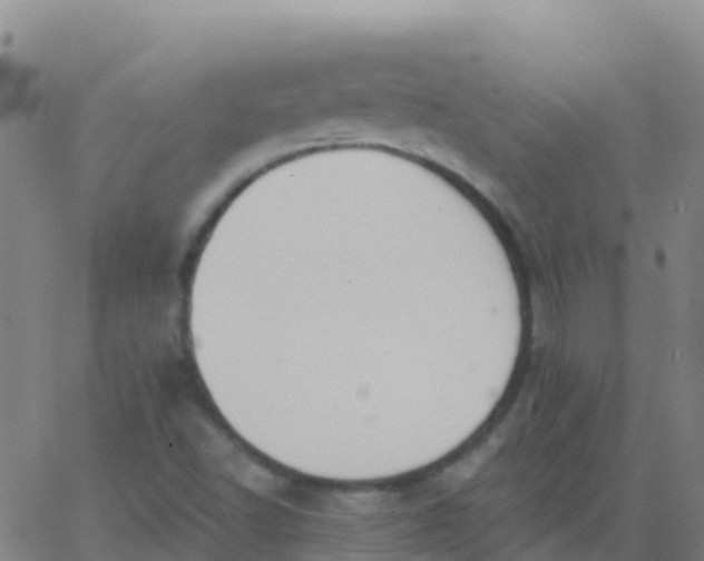 X0000062841502200601272003