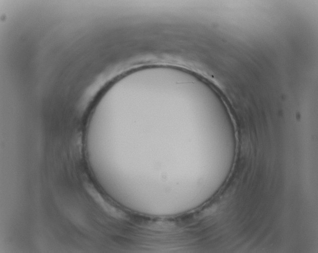 X0000062841503200601272003