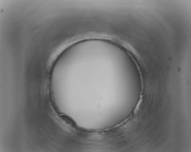 X0000062841504200601272003