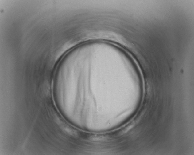 X0000062841505200601272003