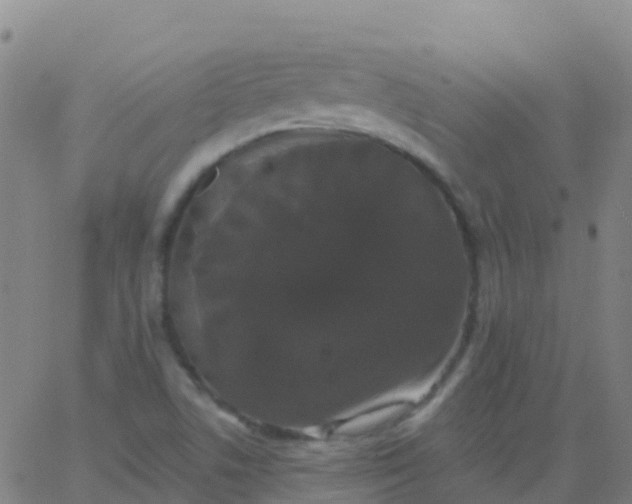 X0000062841506200601272003