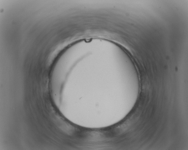 X0000062841507200601272003