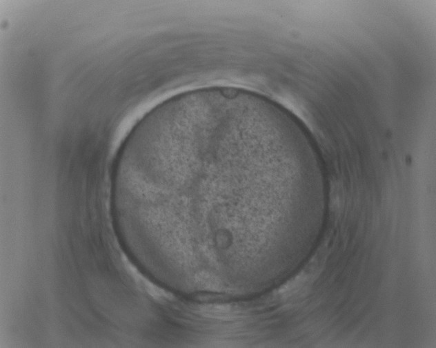 X0000062841508200601272003