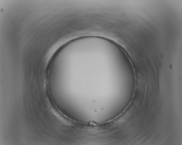 X0000062841511200601272003