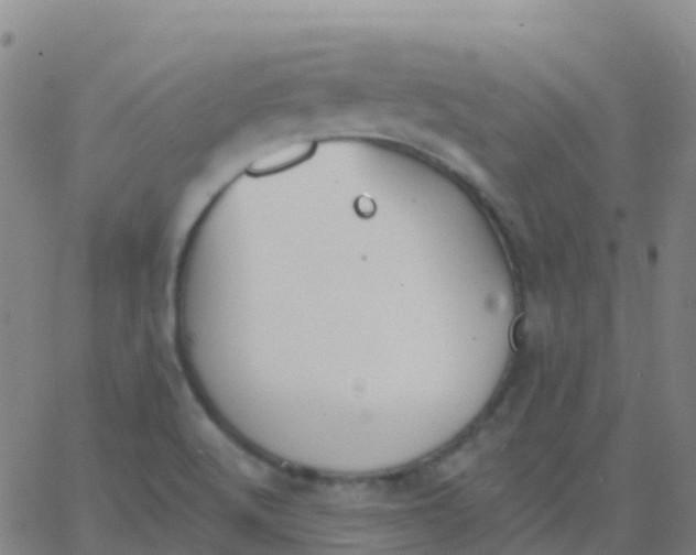 X0000062841512200601272003