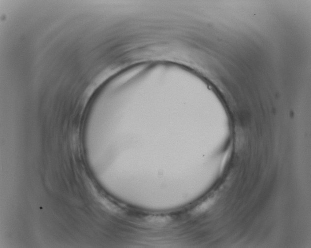 X0000062841513200601272003