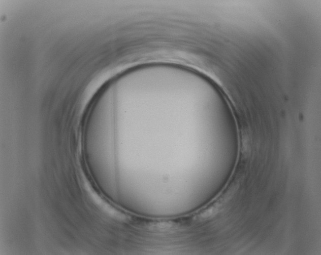 X0000062841515200601272003