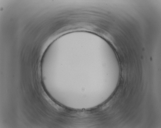 X0000062841516200601272003