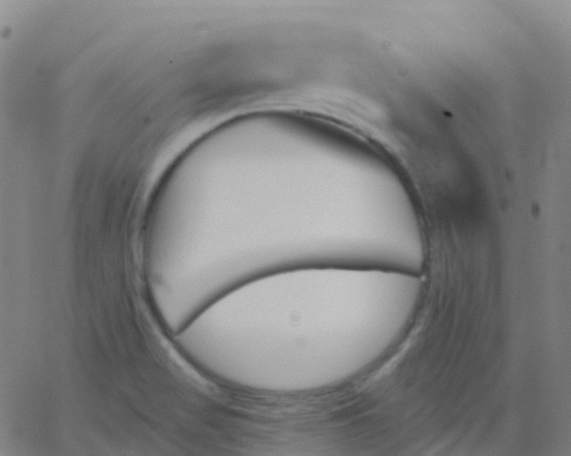 X0000062841517200601272003