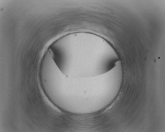 X0000062841518200601272003