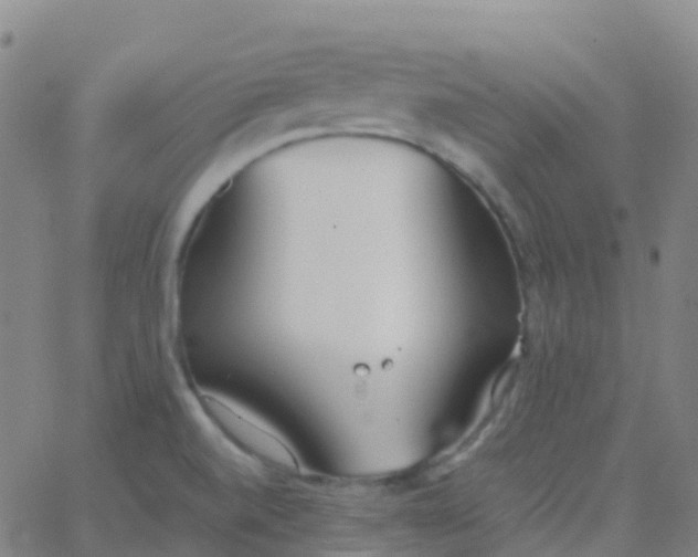 X0000062841520200601272003