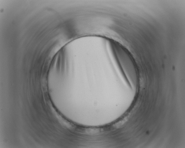 X0000062841521200601272003