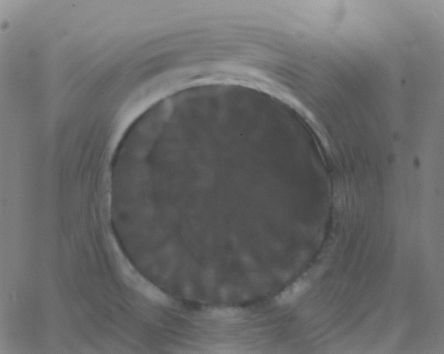 X0000062841522200601272003