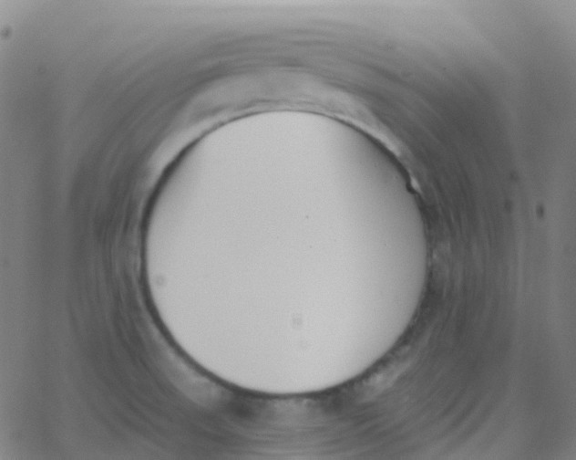 X0000062841523200601272003