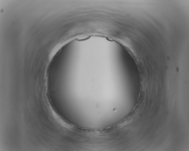 X0000062841524200601272003