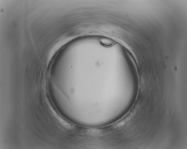 X0000062841525200601272003