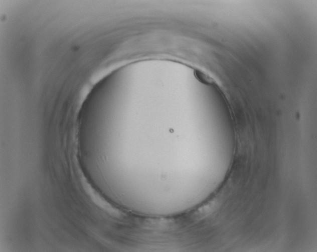 X0000062841526200601272003