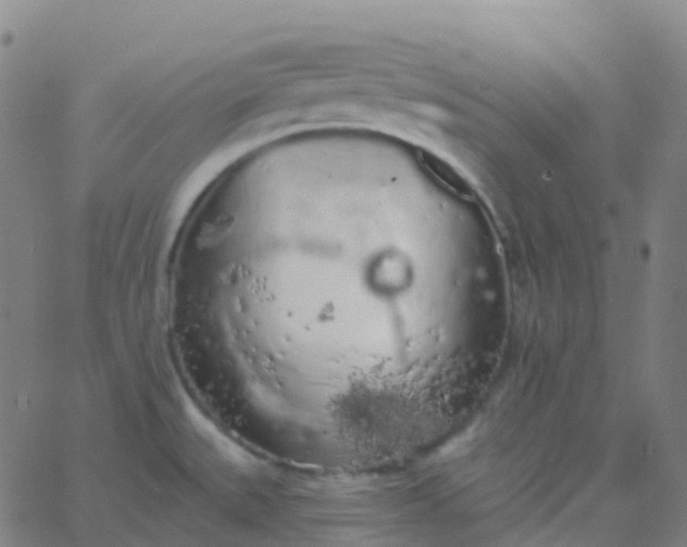 X0000062841527200601272003