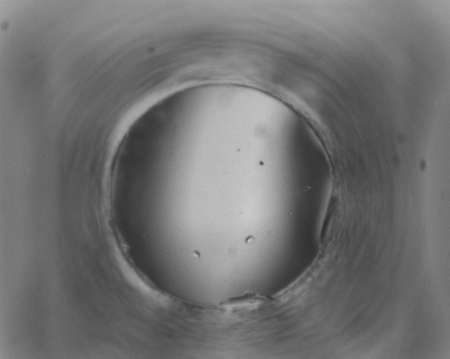 X0000062841528200601272003