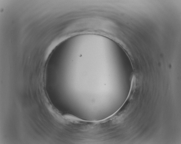 X0000062841530200601272003