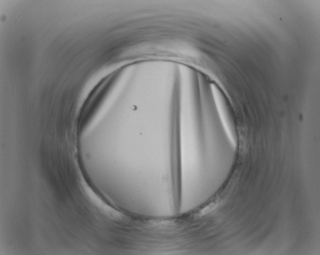 X0000062841531200601272003