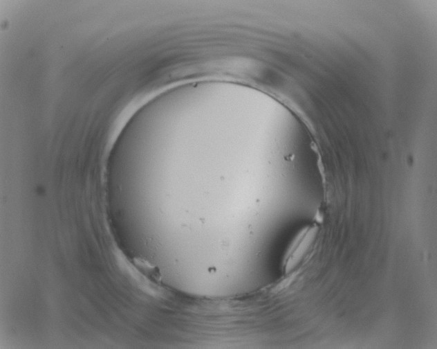 X0000062841532200601272003