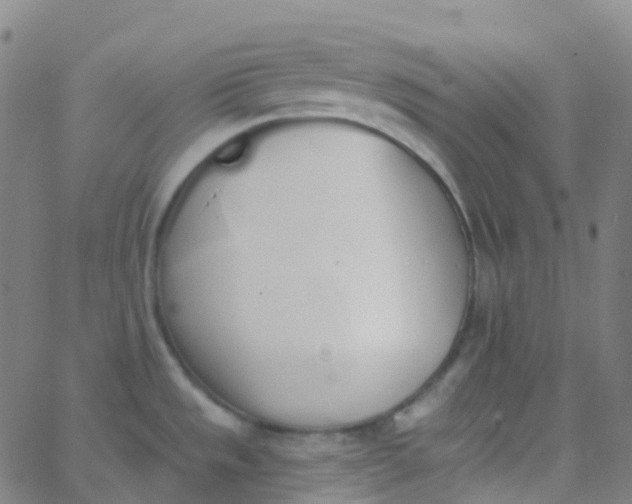 X0000062841533200601272003