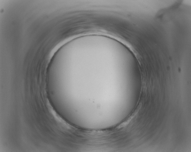 X0000062841534200601272003