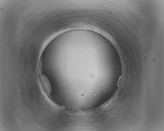 X0000062841536200601272004