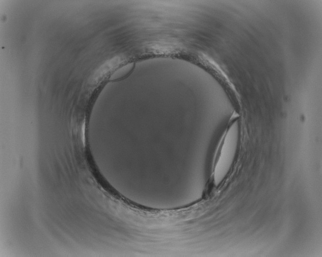 X0000062840019200602031613