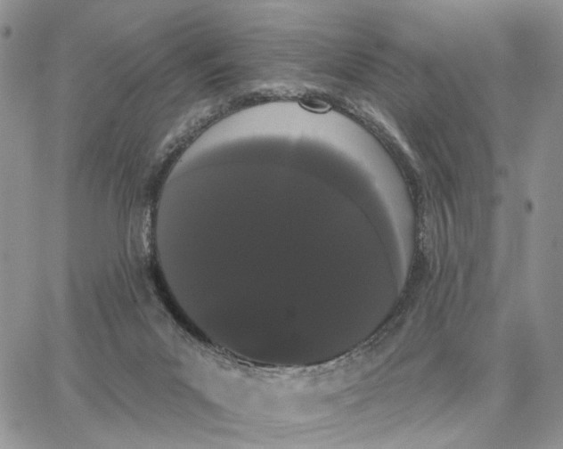 X0000062840023200602031613