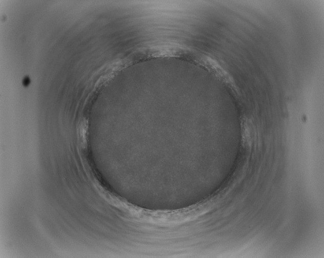 X0000062840026200602031613