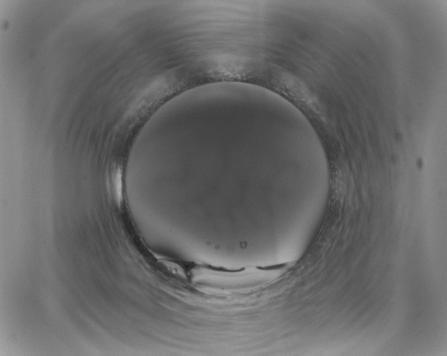 X0000062840027200602031613